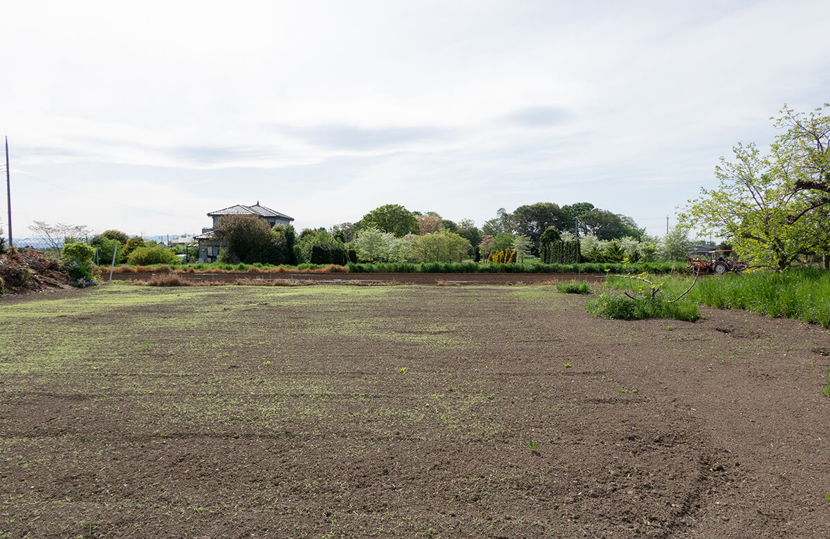 実は広い土地は売却が難しい･･･だから当社が買い取ります