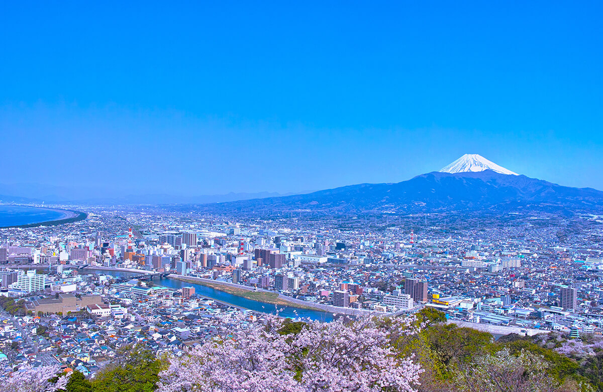 POINT02　地域密着で信頼できる情報を提供します