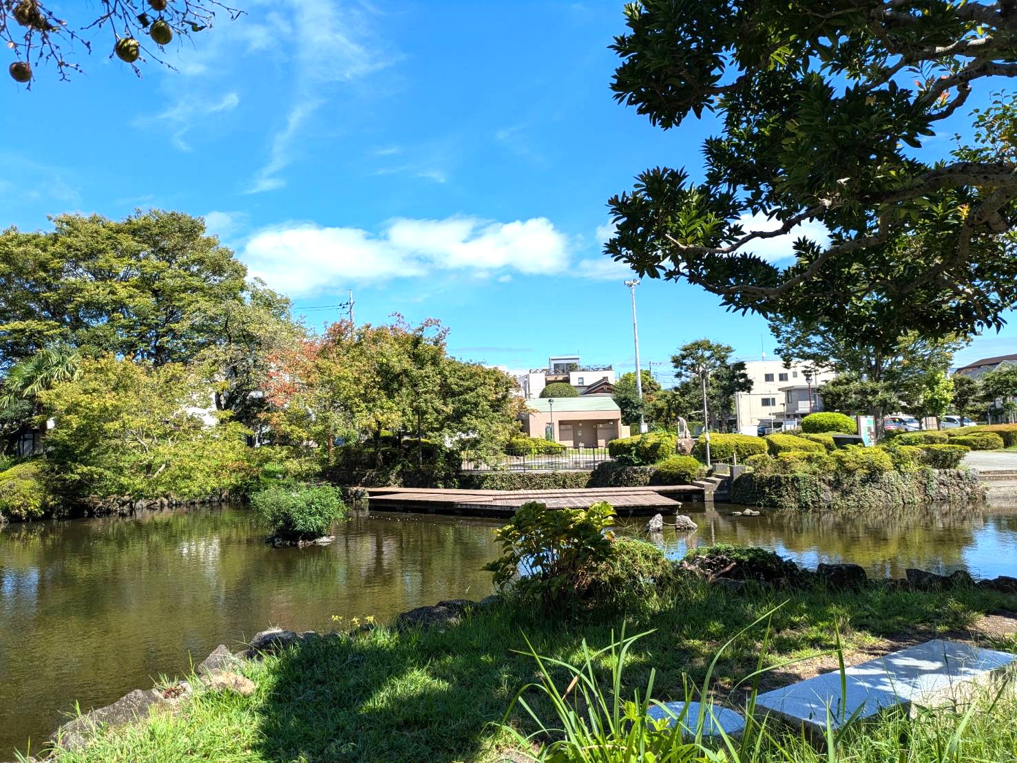 【三島市】菰池公園